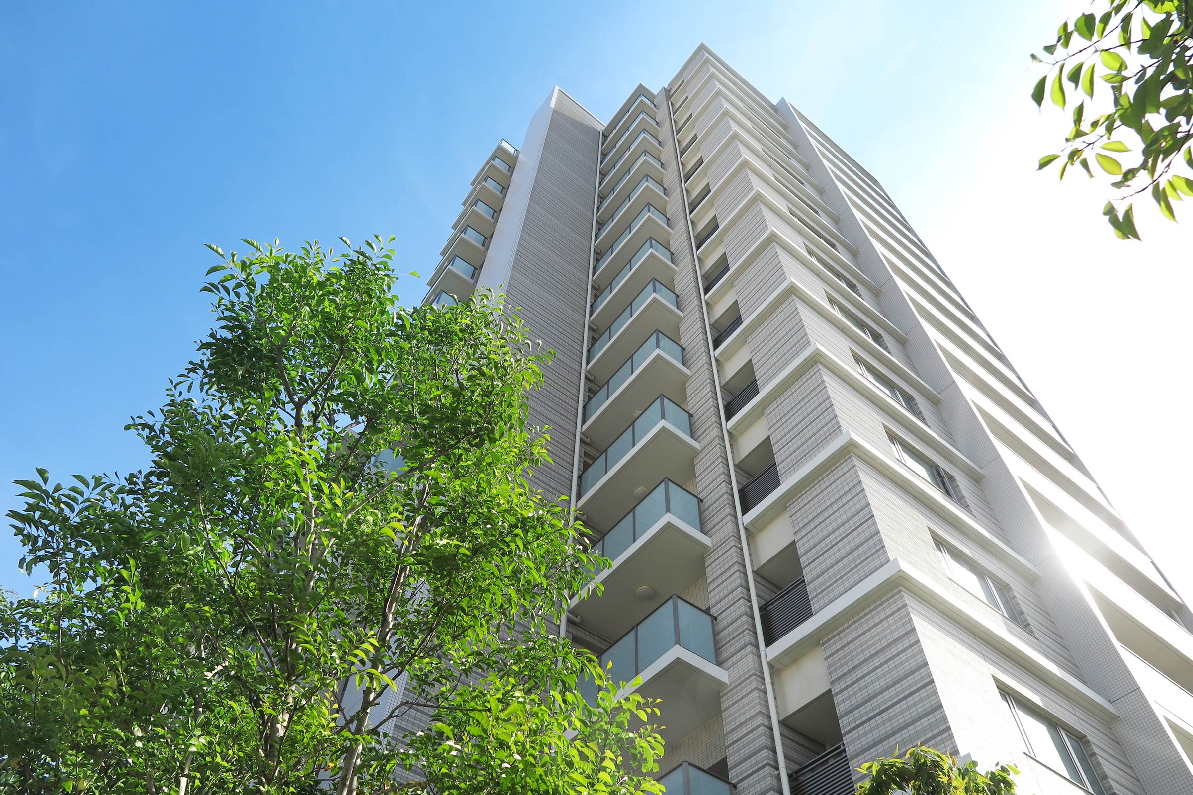 代表変更に伴うご挨拶 | FIRST 株式会社ファースト